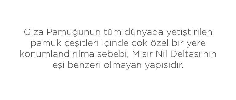 Giza Pamuk