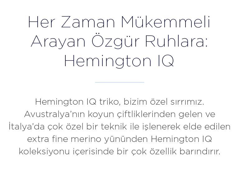 Hemington IQ