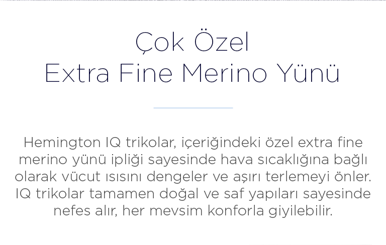 Hemington IQ