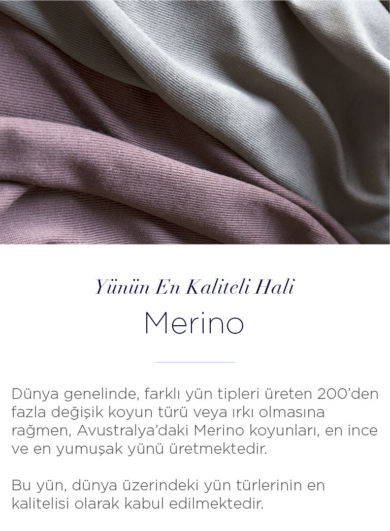 Merino