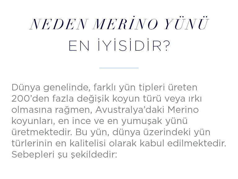 Neden Merino