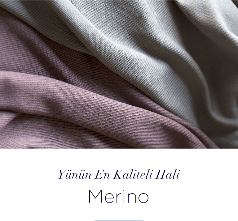 Merino