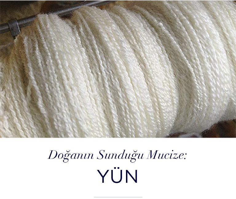 Yün