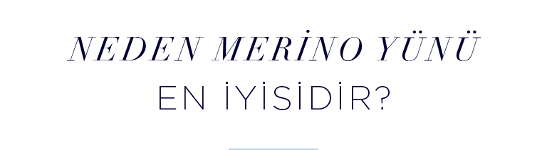 Neden Merino